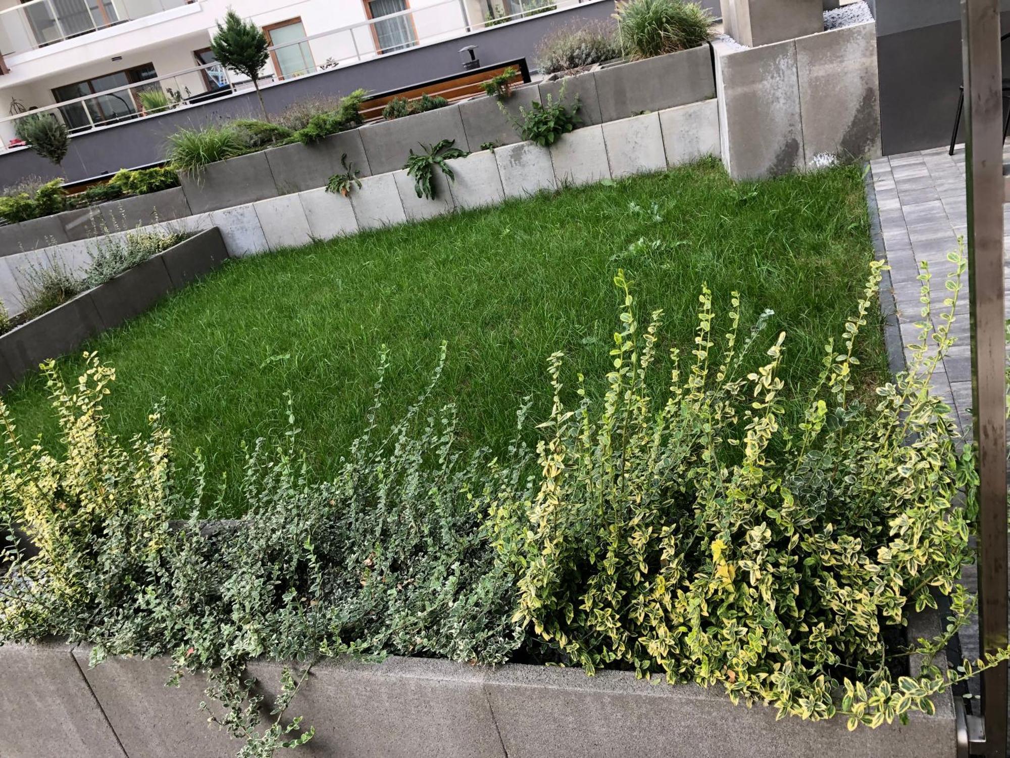 Komfortowe Apartamenty Kielce Klonowa ,Ogrodek, Garaz Podziemny, Samodzielne Wejscie Na Kod 24H Buitenkant foto